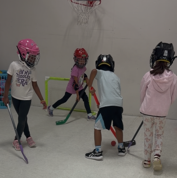 Introduction to Ball Hockey